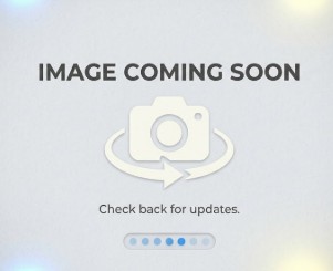 Alina Bereznitskaya, Esq.